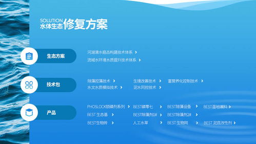 易企宣助力澳洲上市公司林澤圣泰中國區(qū)網(wǎng)站策劃開發(fā)，專業(yè)服務廈門中小企業(yè)網(wǎng)站建設
